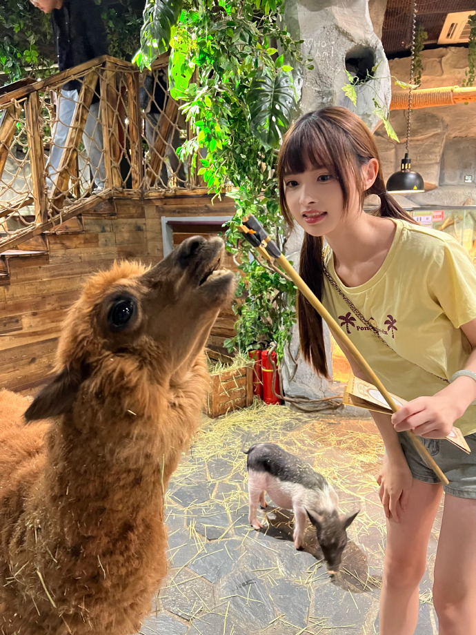 铃芽之旅